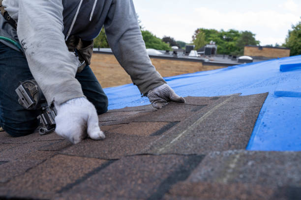 Best Storm Damage Roof Repair  in Ball Ground, GA